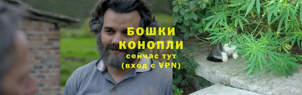 стаф Корсаков