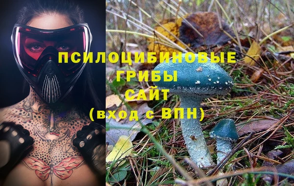 таблы Кукмор