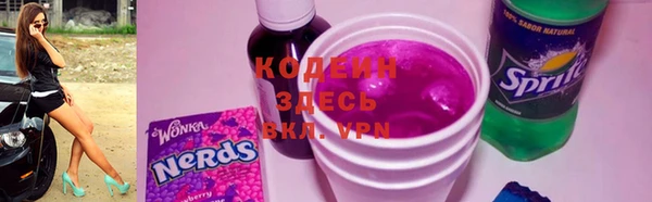 стаф Корсаков