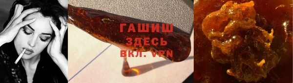 стаф Корсаков