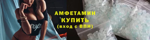 стаф Корсаков
