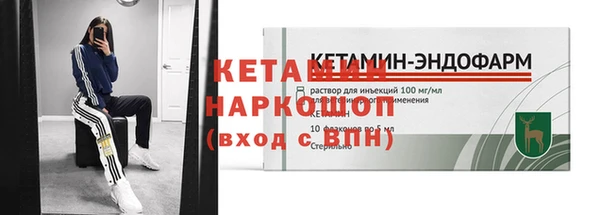 стаф Корсаков