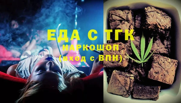стаф Корсаков