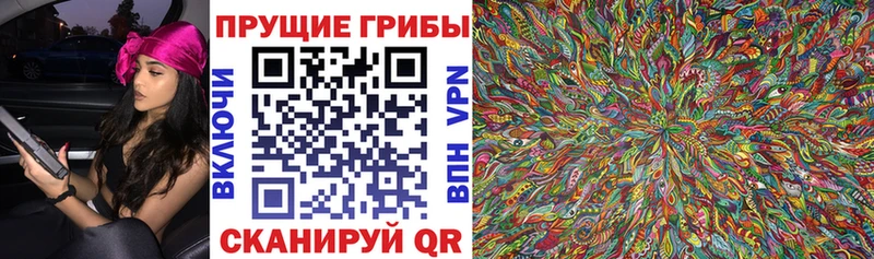 Псилоцибиновые грибы MAGIC MUSHROOMS  Медвежьегорск 